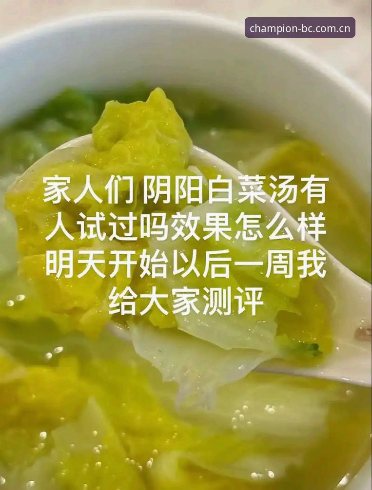 白菜网2025怎么进下载不了怎么办 白菜网2025版下载难题全面评测:冠军白菜平台入口与解决方案实测