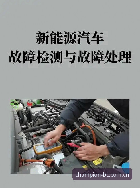 冠军白菜平台全面评测：安全性与可靠性深度分析报告